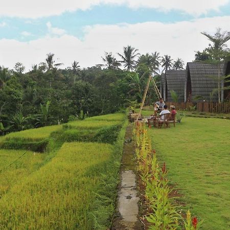 Omah Bapak Ijen Eco House Hotel Licin Ngoại thất bức ảnh