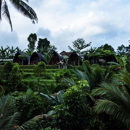 Omah Bapak Ijen Eco House Hotel Licin Ngoại thất bức ảnh