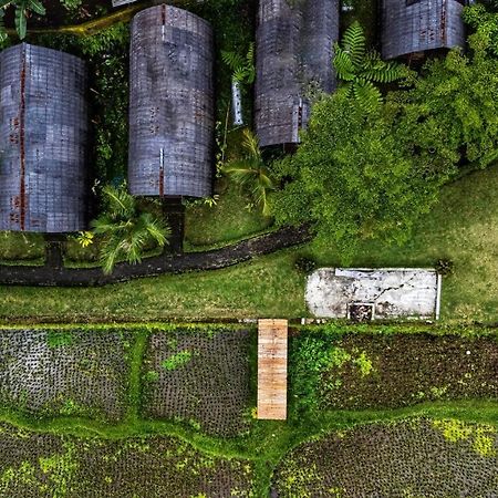 Omah Bapak Ijen Eco House Hotel Licin Ngoại thất bức ảnh