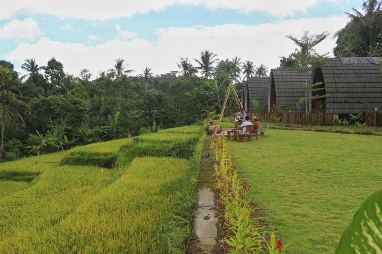 Omah Bapak Ijen Eco House Hotel Licin Ngoại thất bức ảnh