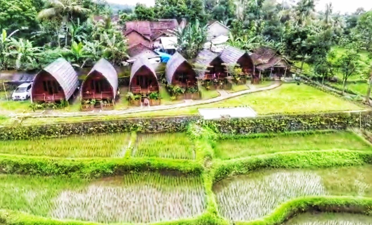 Omah Bapak Ijen Eco House Hotel Licin Ngoại thất bức ảnh
