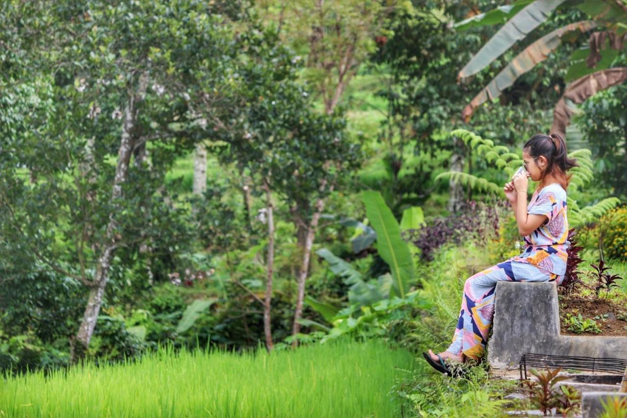 Omah Bapak Ijen Eco House Hotel Licin Ngoại thất bức ảnh