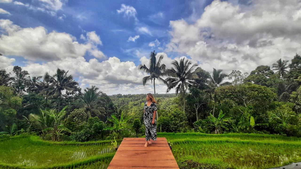 Omah Bapak Ijen Eco House Hotel Licin Ngoại thất bức ảnh
