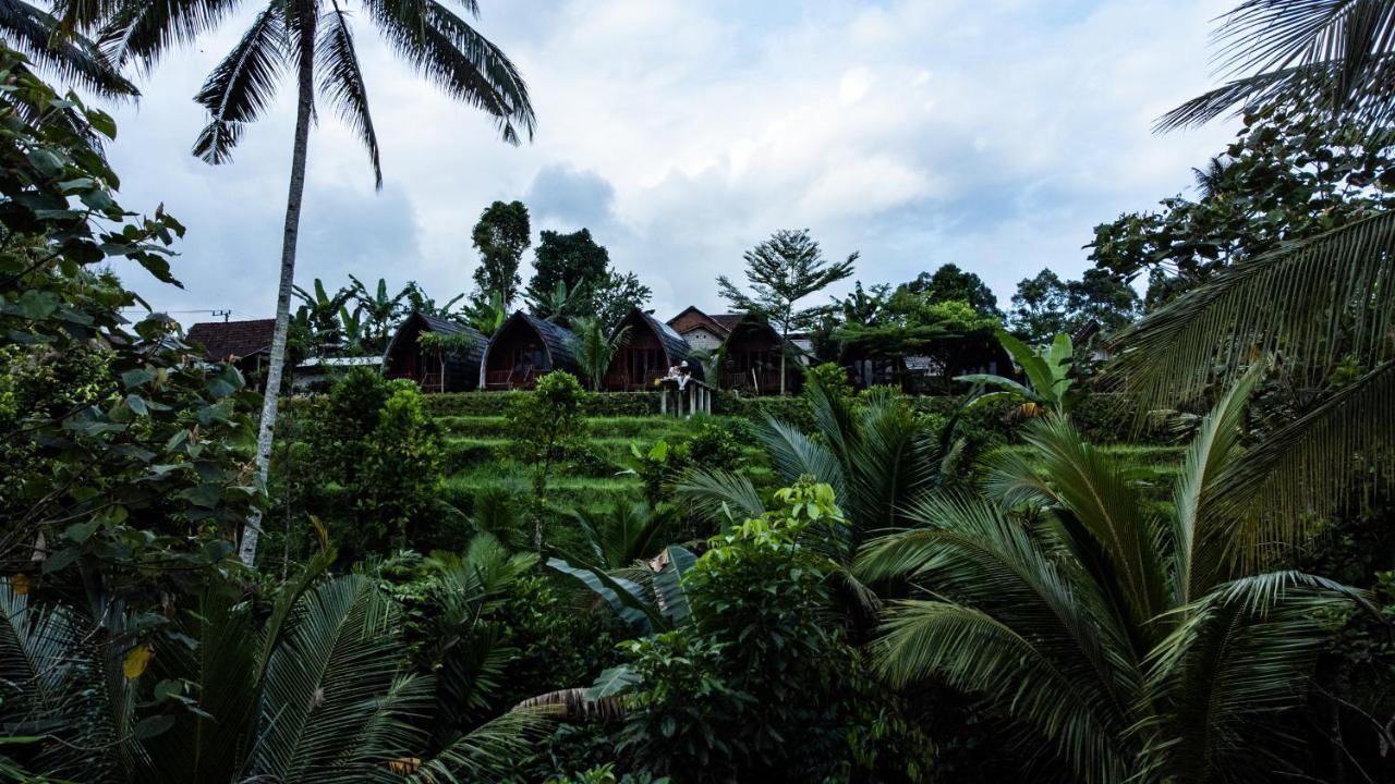 Omah Bapak Ijen Eco House Hotel Licin Ngoại thất bức ảnh