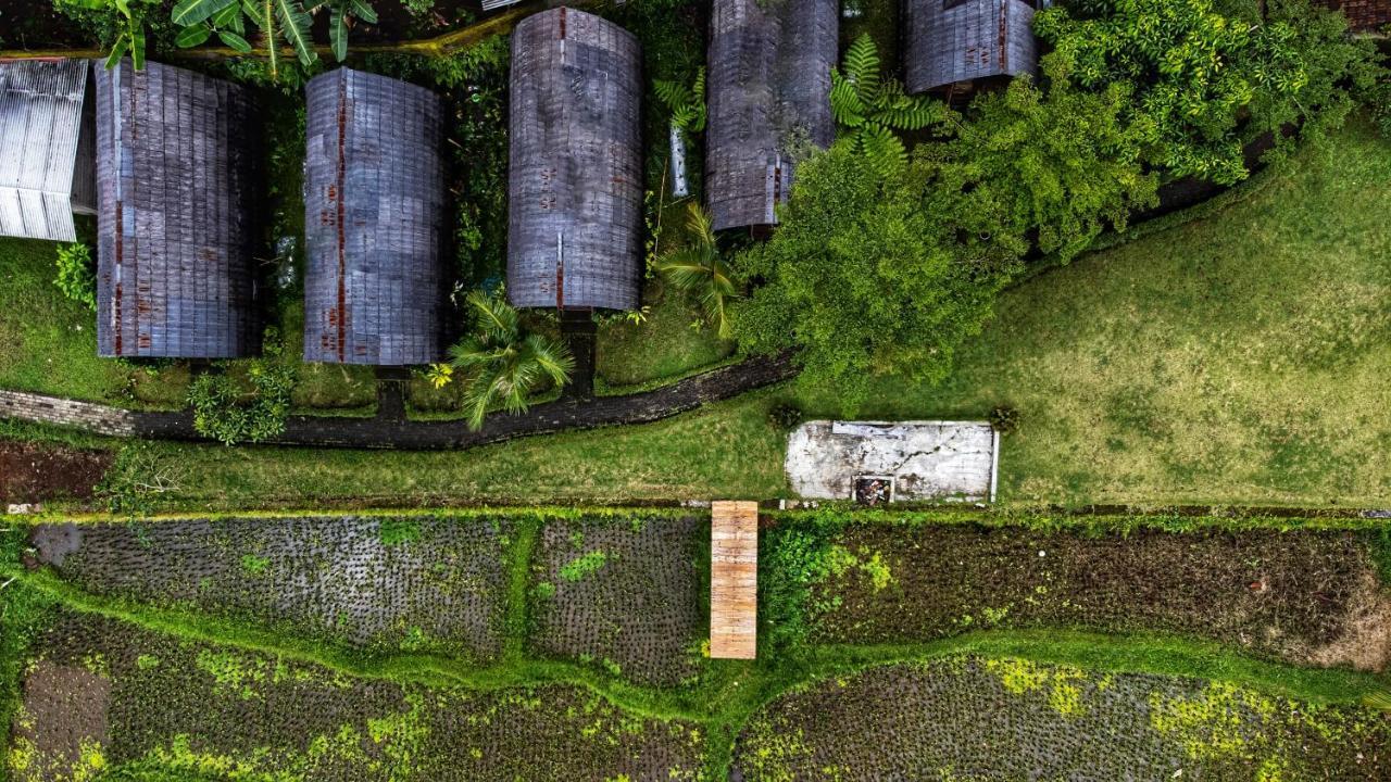 Omah Bapak Ijen Eco House Hotel Licin Ngoại thất bức ảnh