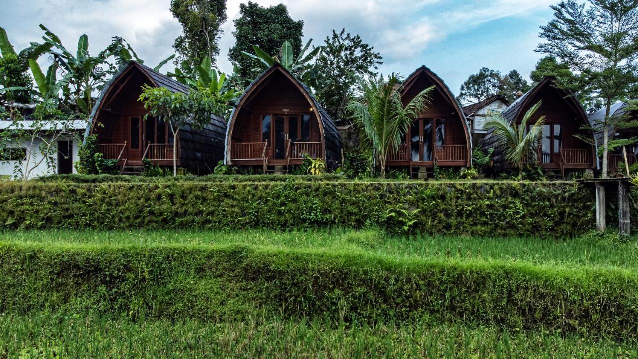Omah Bapak Ijen Eco House Hotel Licin Ngoại thất bức ảnh